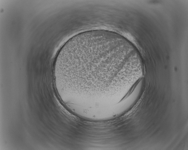 X0000067461500200605051608