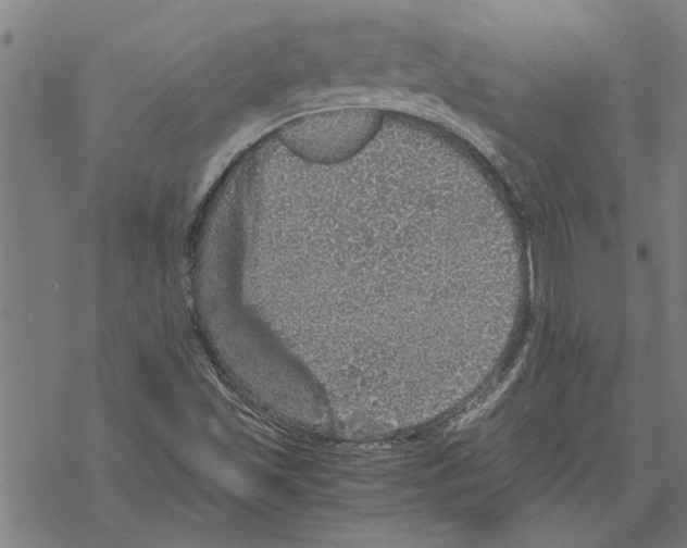 X0000067461501200605051608