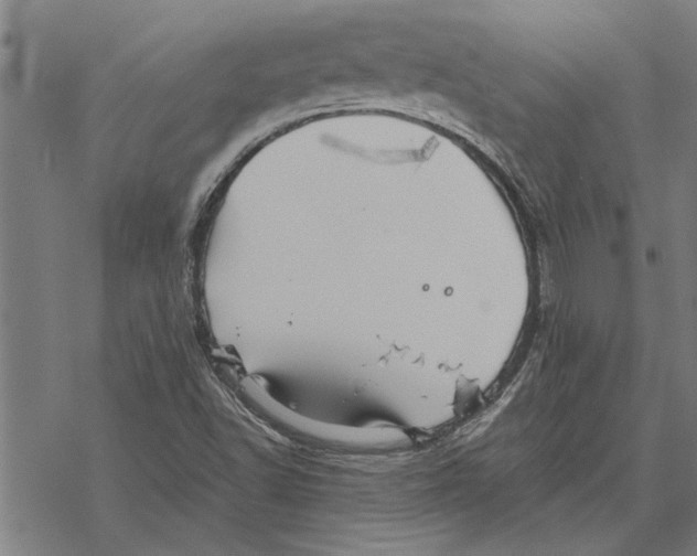 X0000067461502200605051608