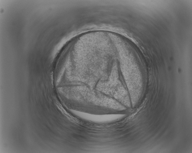 X0000067461503200605051608