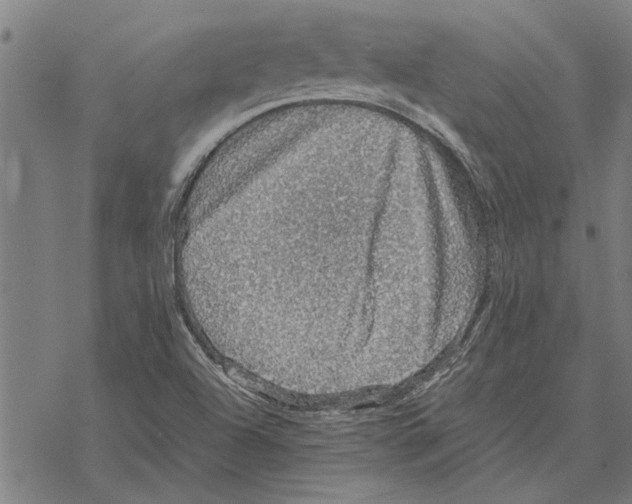 X0000067461504200605051608