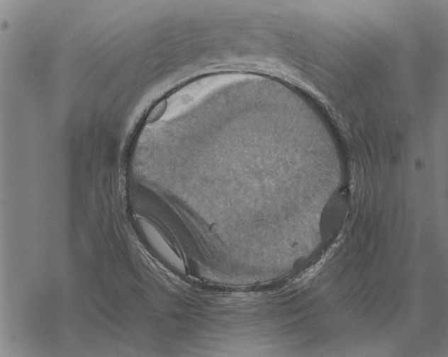 X0000067461506200605051609