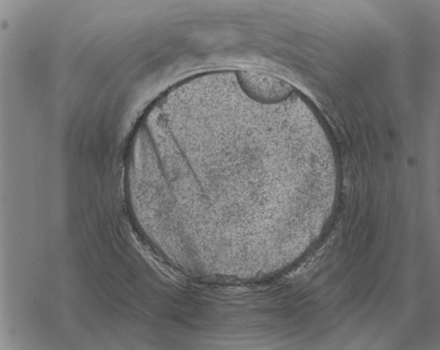 X0000067461507200605051609