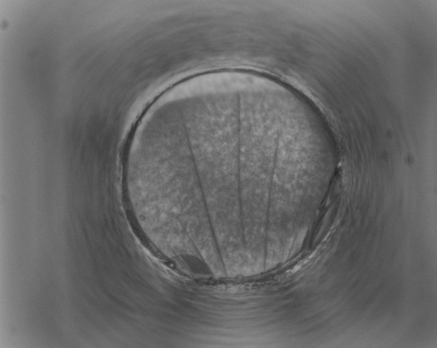 X0000067461508200605051609