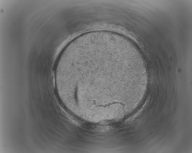 X0000067461509200605051609