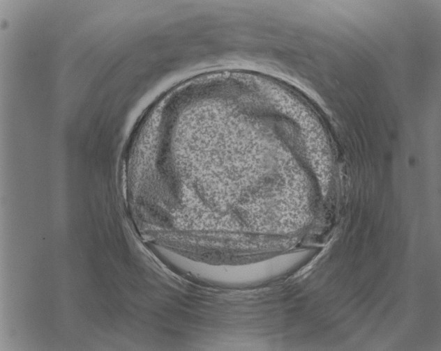 X0000067461510200605051609