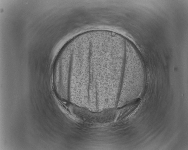 X0000067461511200605051609