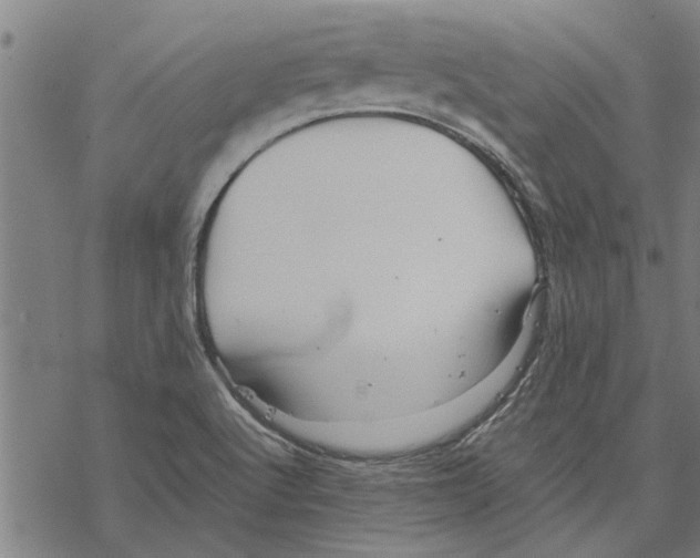 X0000067461512200605051609