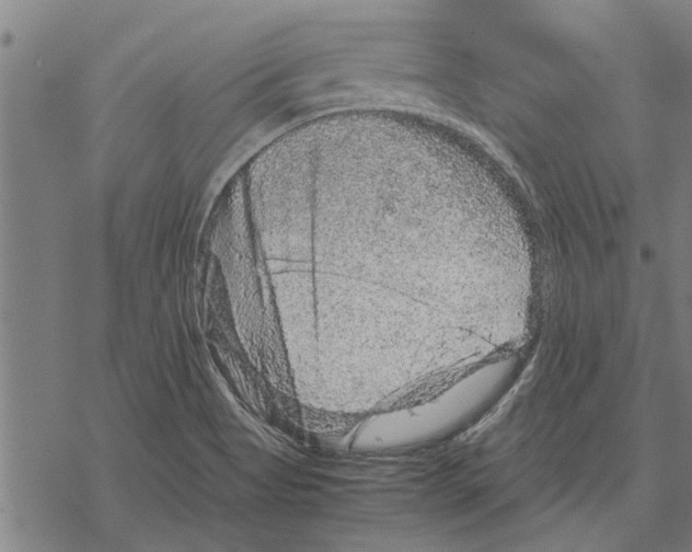 X0000067461513200605051609