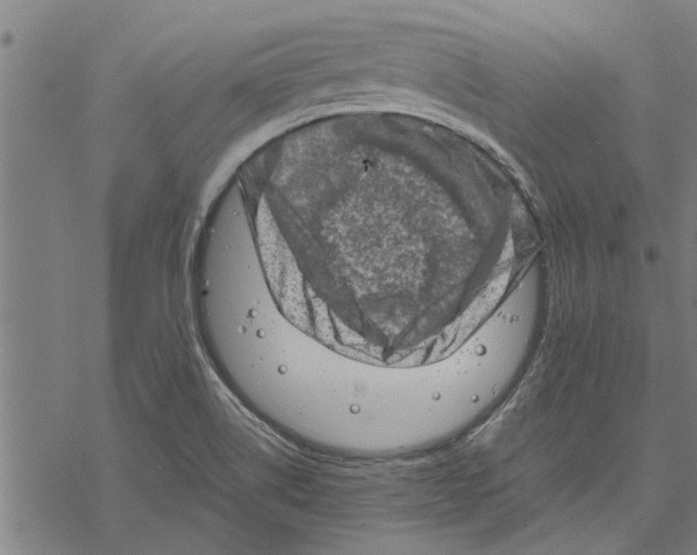 X0000067461514200605051609