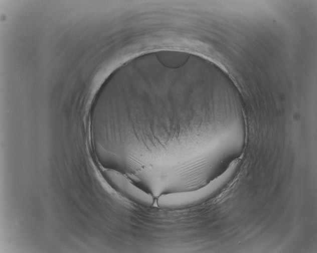 X0000067461515200605051609