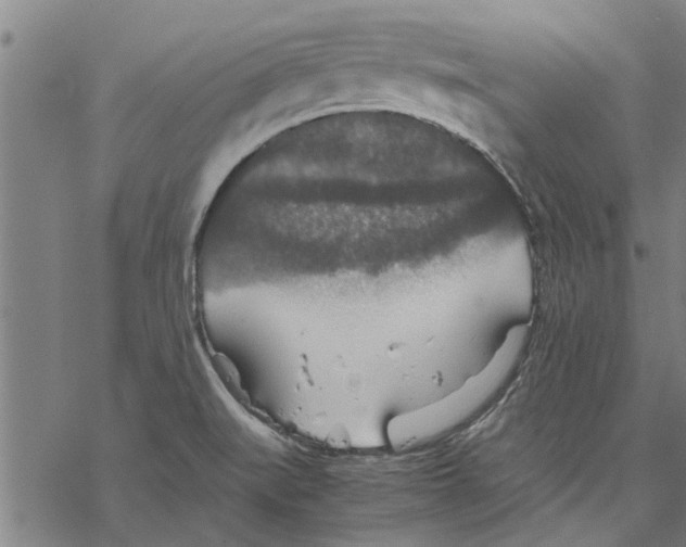 X0000067461519200605051609