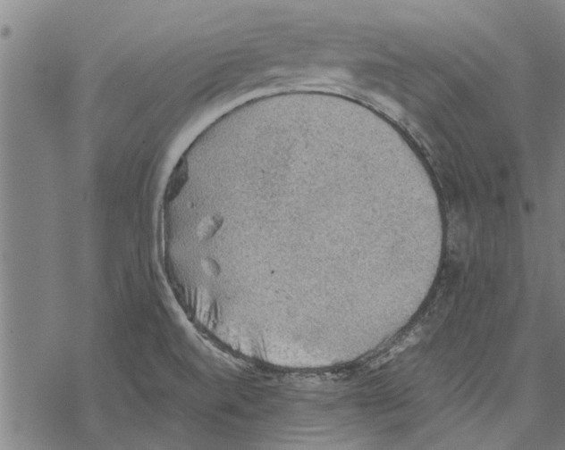 X0000067461520200605051609