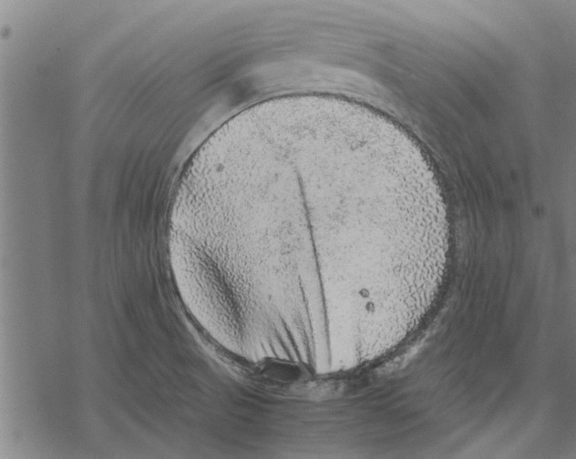 X0000067461521200605051609