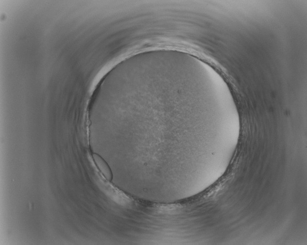 X0000067461522200605051609