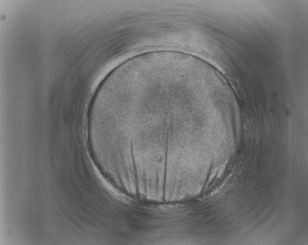 X0000067461523200605051609