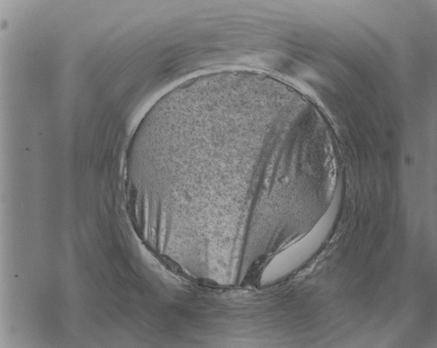 X0000067461524200605051609