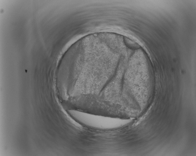 X0000067461525200605051609