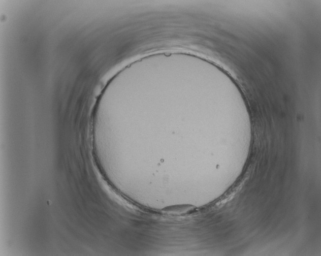 X0000067461526200605051609