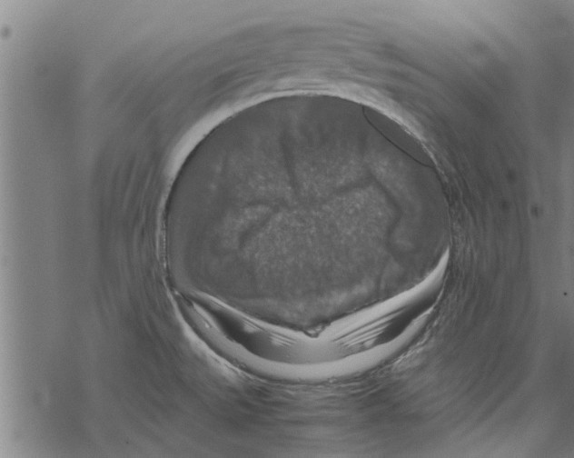 X0000067461527200605051609