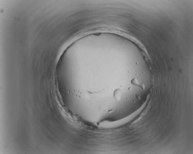 X0000067461530200605051609