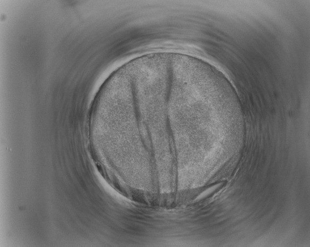 X0000067461531200605051609