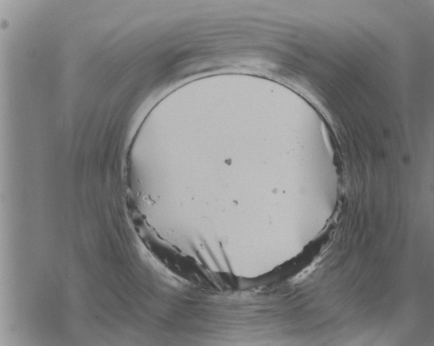 X0000067461532200605051609