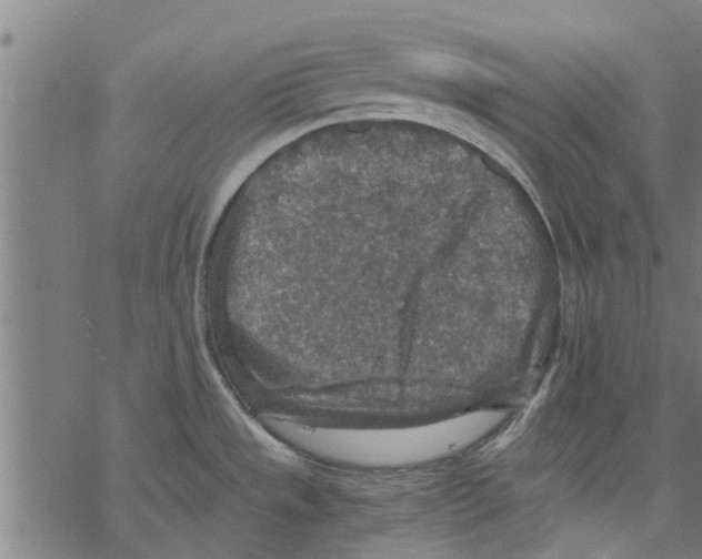 X0000067461533200605051609