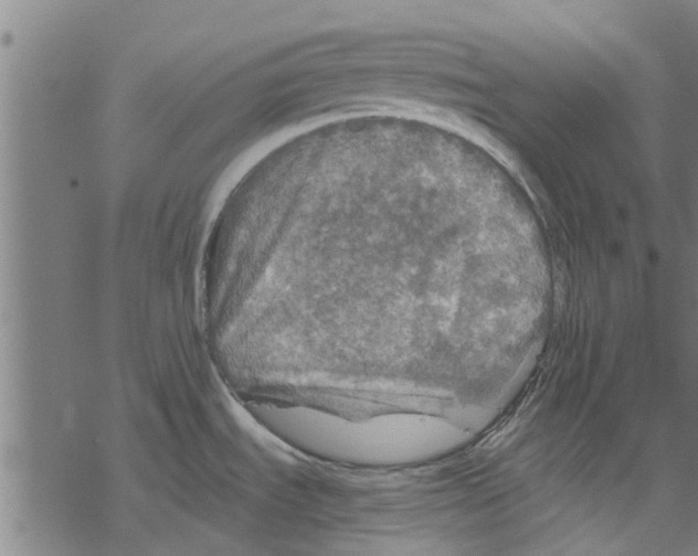 X0000067461535200605051609