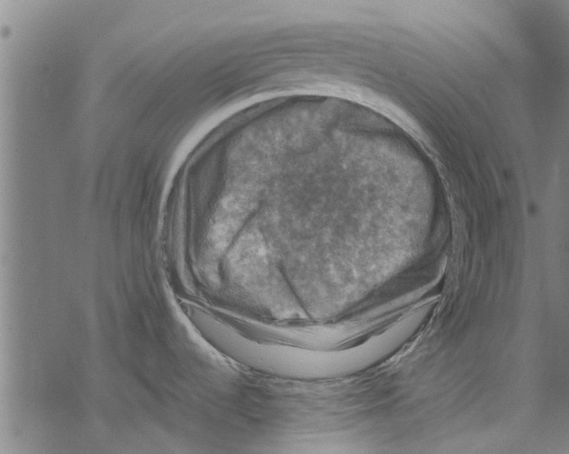 X0000067461536200605051609