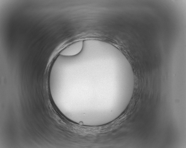 X0000067470004200604071005