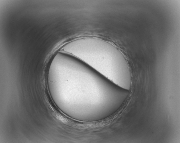 X0000067470005200604071005