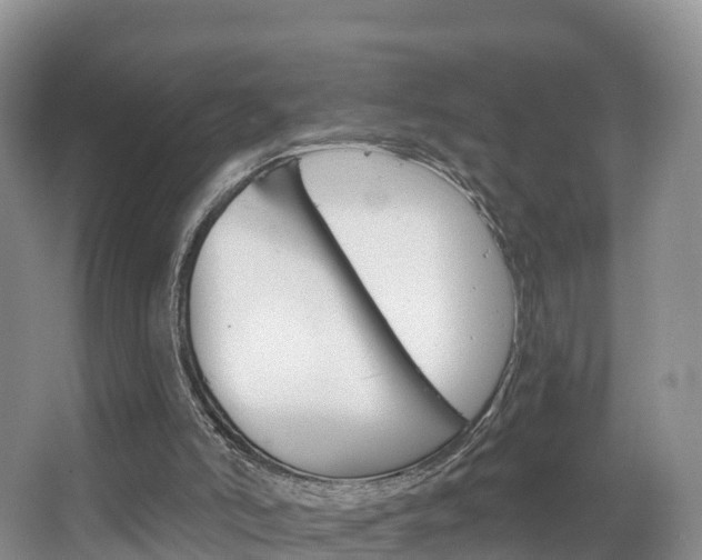 X0000067470006200604071005