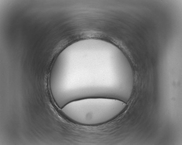 X0000067470010200604071005