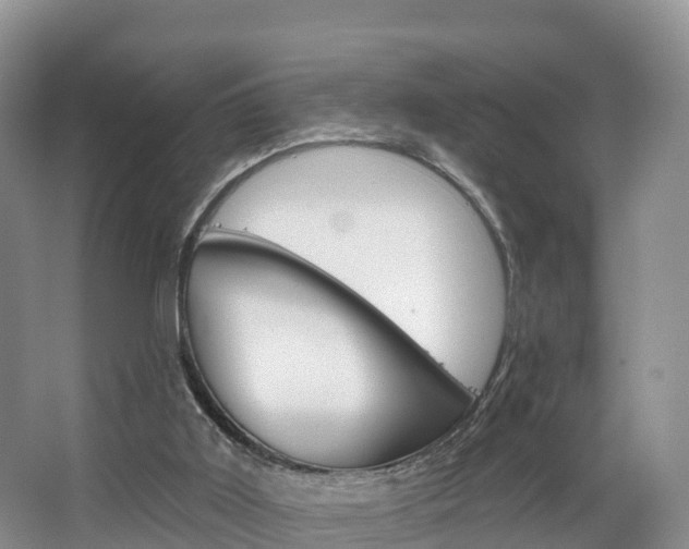 X0000067470011200604071005