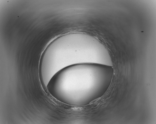 X0000067470052200604071003