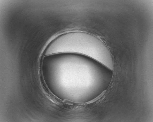 X0000067470056200604071003
