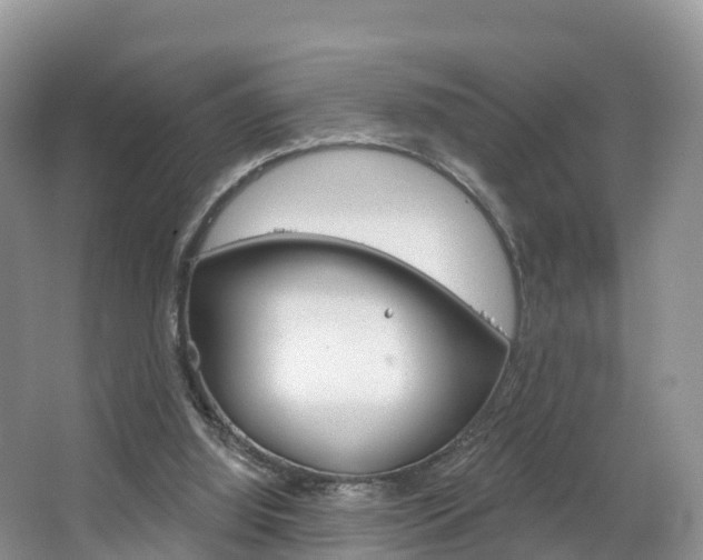 X0000067470060200604071003