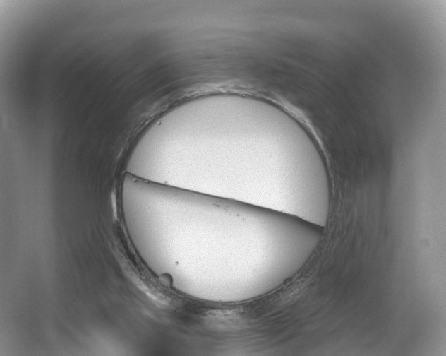 X0000067470061200604071003