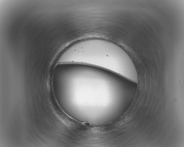 X0000067470064200604071003