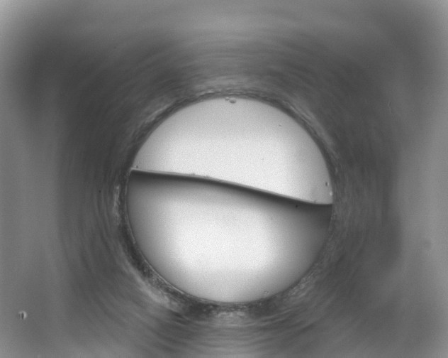 X0000067470066200604071003