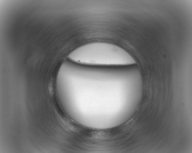 X0000067470074200604071004