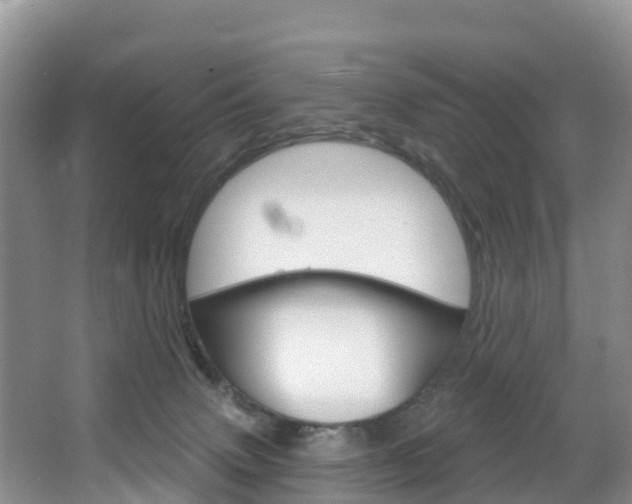 X0000067470083200604071004