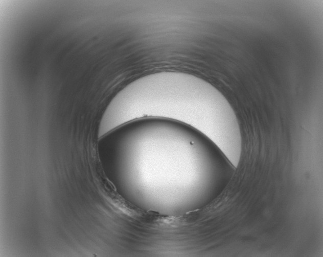 X0000067470092200604071004