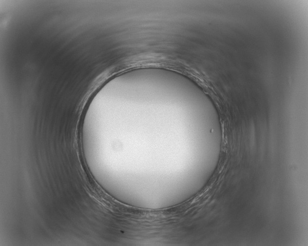 X0000067470099200604071003