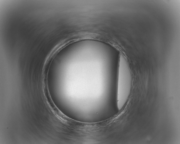 X0000067470101200604071003