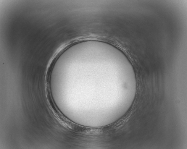 X0000067470102200604071003