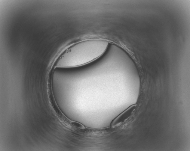 X0000067470103200604071003