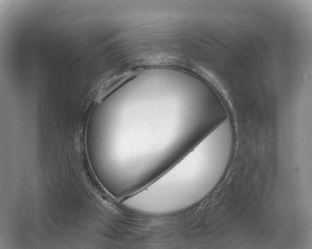 X0000067470105200604071003
