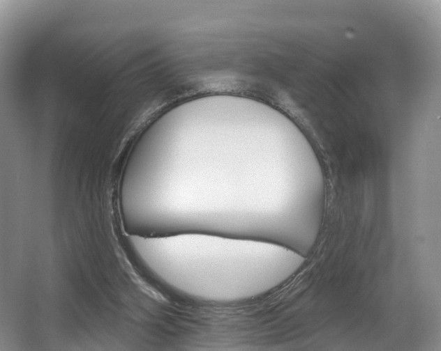 X0000067470106200604071003